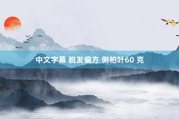 中文字幕 脱发偏方 侧柏叶60 克