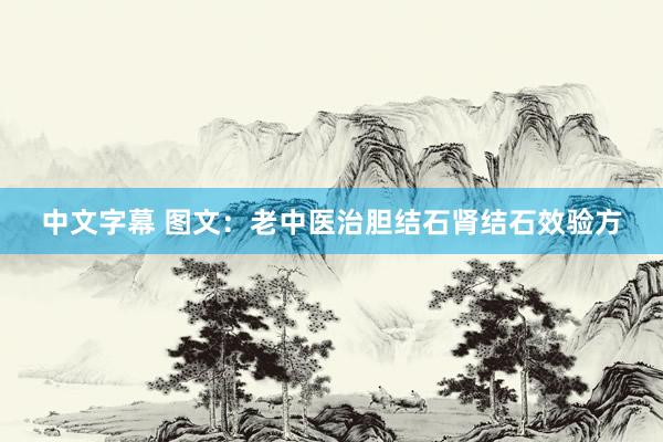 中文字幕 图文：老中医治胆结石肾结石效验方