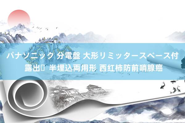 パナソニック 分電盤 大形リミッタースペース付 露出・半埋込両用形 西红柿防前哨腺癌