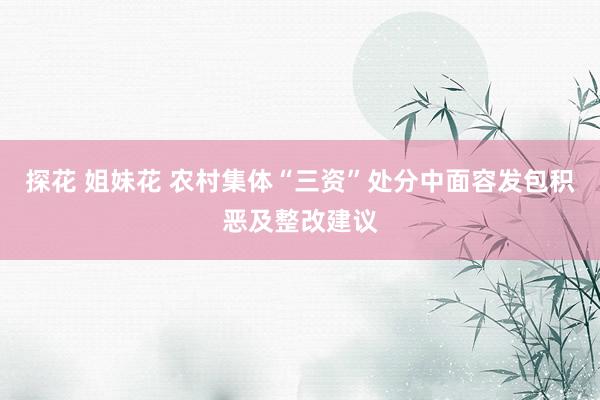 探花 姐妹花 农村集体“三资”处分中面容发包积恶及整改建议