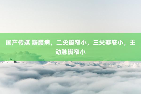 国产传媒 瓣膜病，二尖瓣窄小，三尖瓣窄小，主动脉瓣窄小
