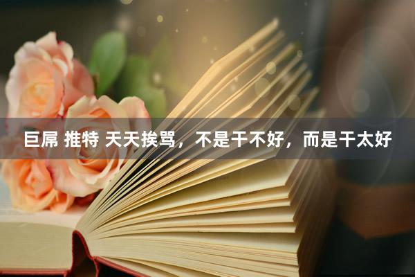 巨屌 推特 天天挨骂，不是干不好，而是干太好